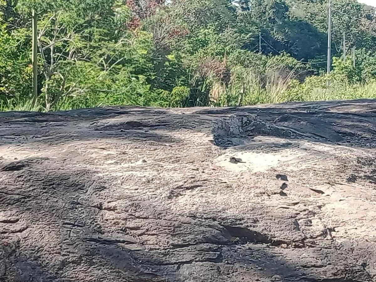 Sigiri Gayani Home Stay Sigiriya Buitenkant foto