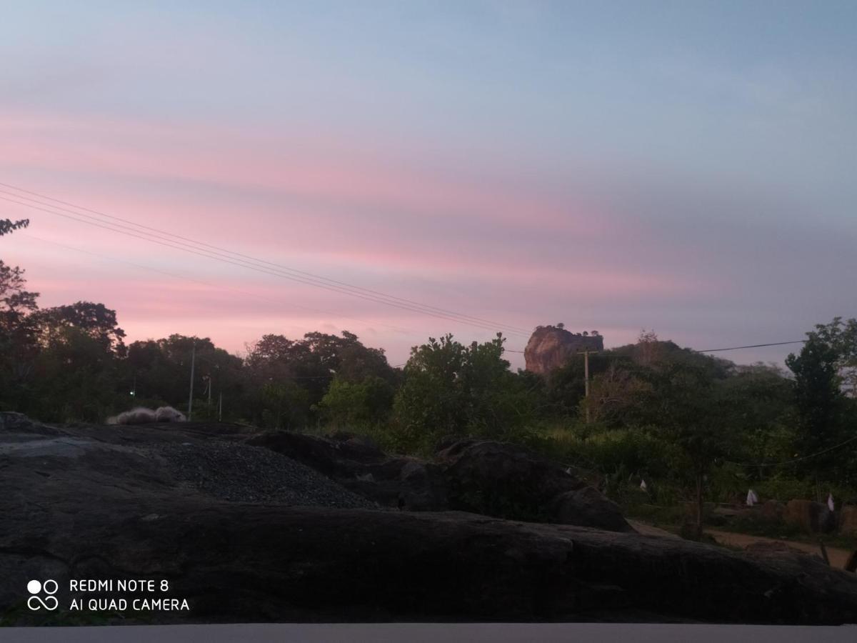 Sigiri Gayani Home Stay Sigiriya Buitenkant foto