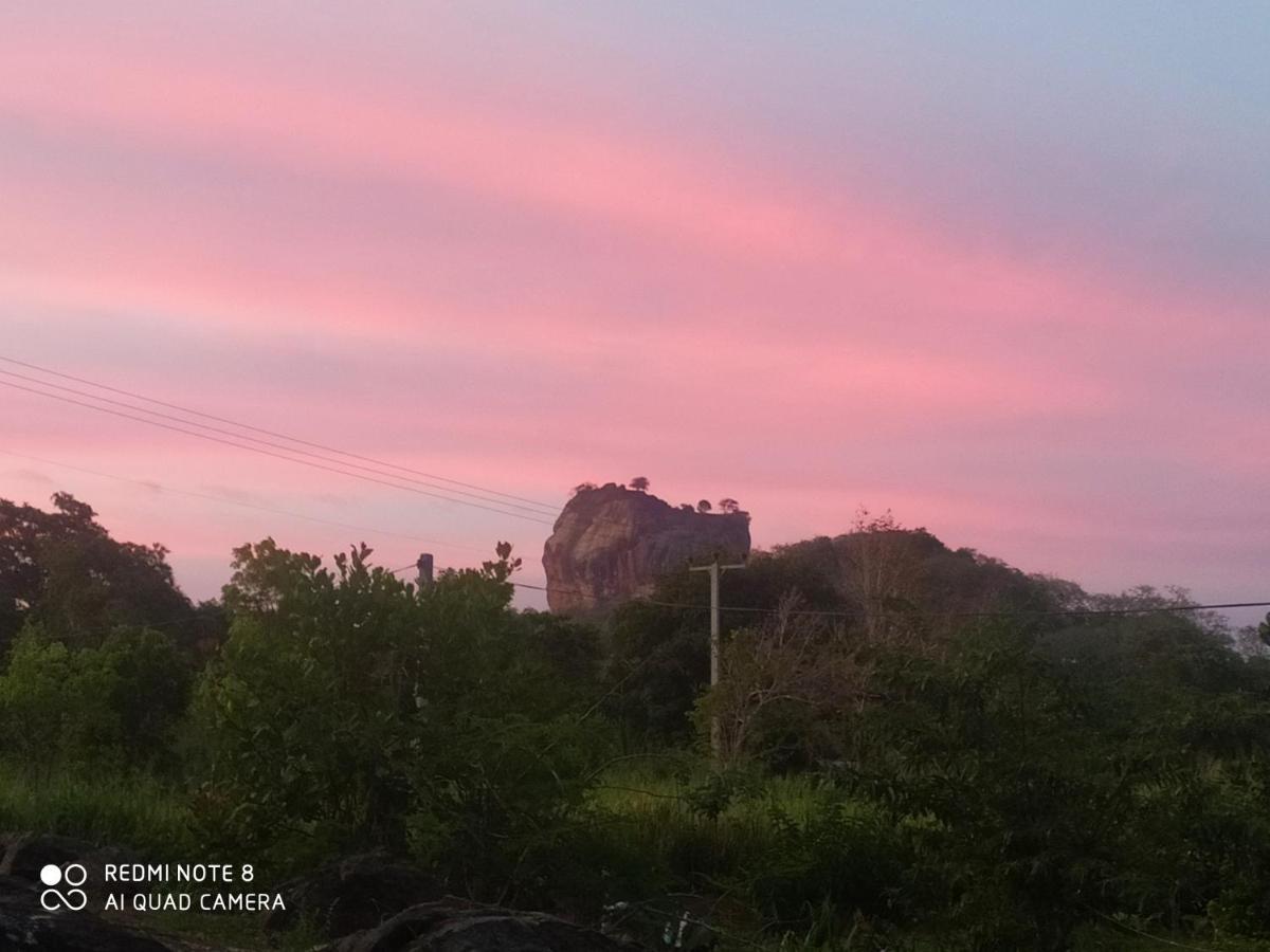 Sigiri Gayani Home Stay Sigiriya Buitenkant foto