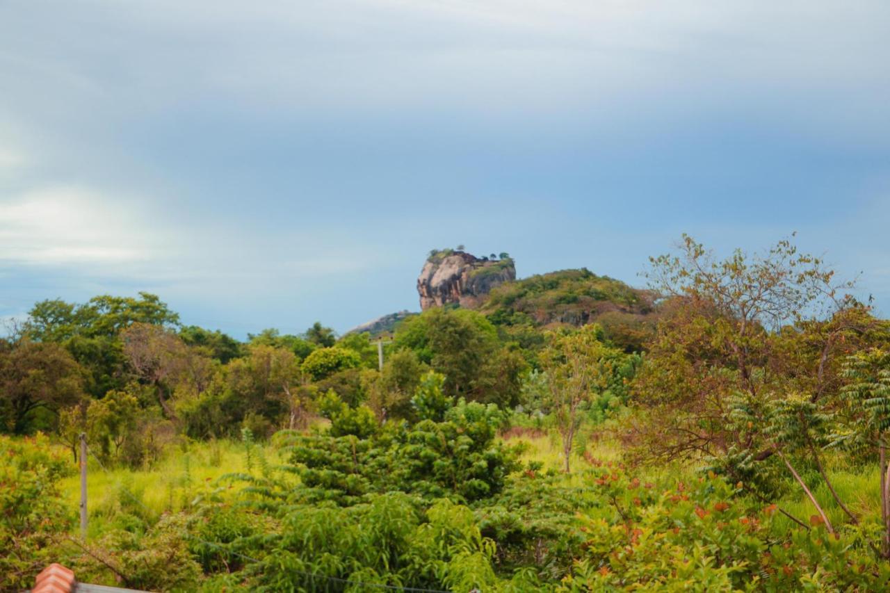 Sigiri Gayani Home Stay Sigiriya Buitenkant foto