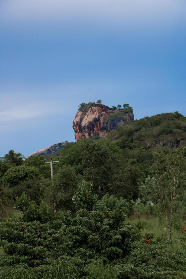 Sigiri Gayani Home Stay Sigiriya Buitenkant foto