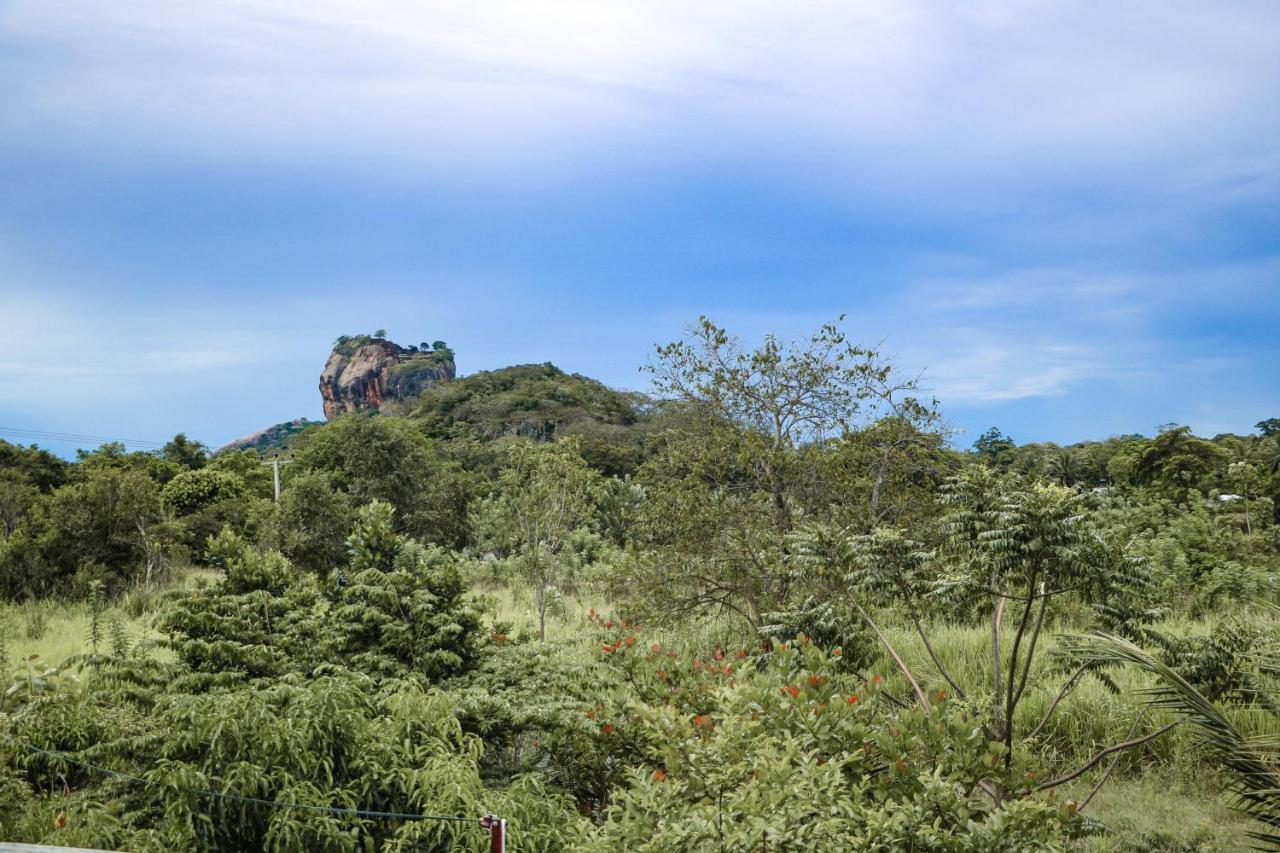 Sigiri Gayani Home Stay Sigiriya Buitenkant foto