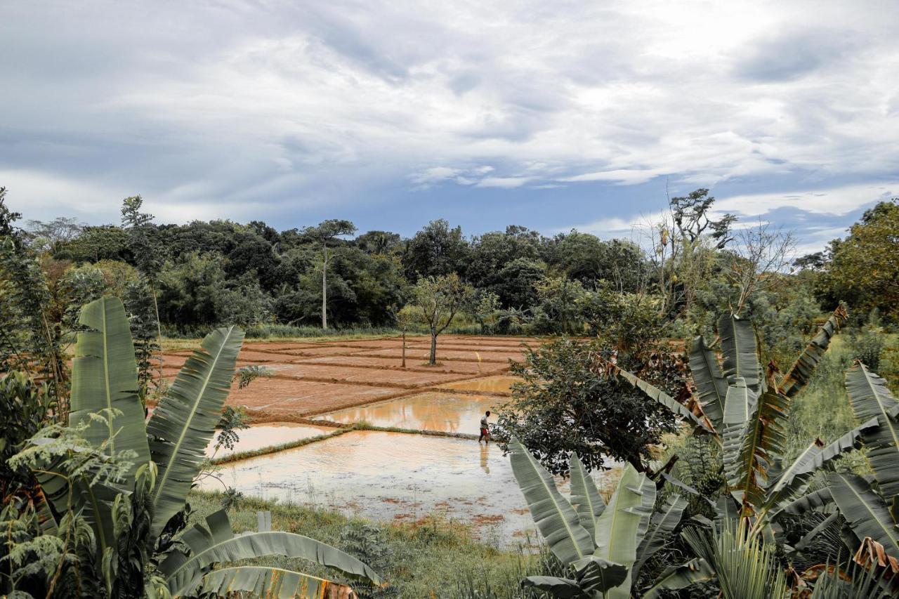 Sigiri Gayani Home Stay Sigiriya Buitenkant foto