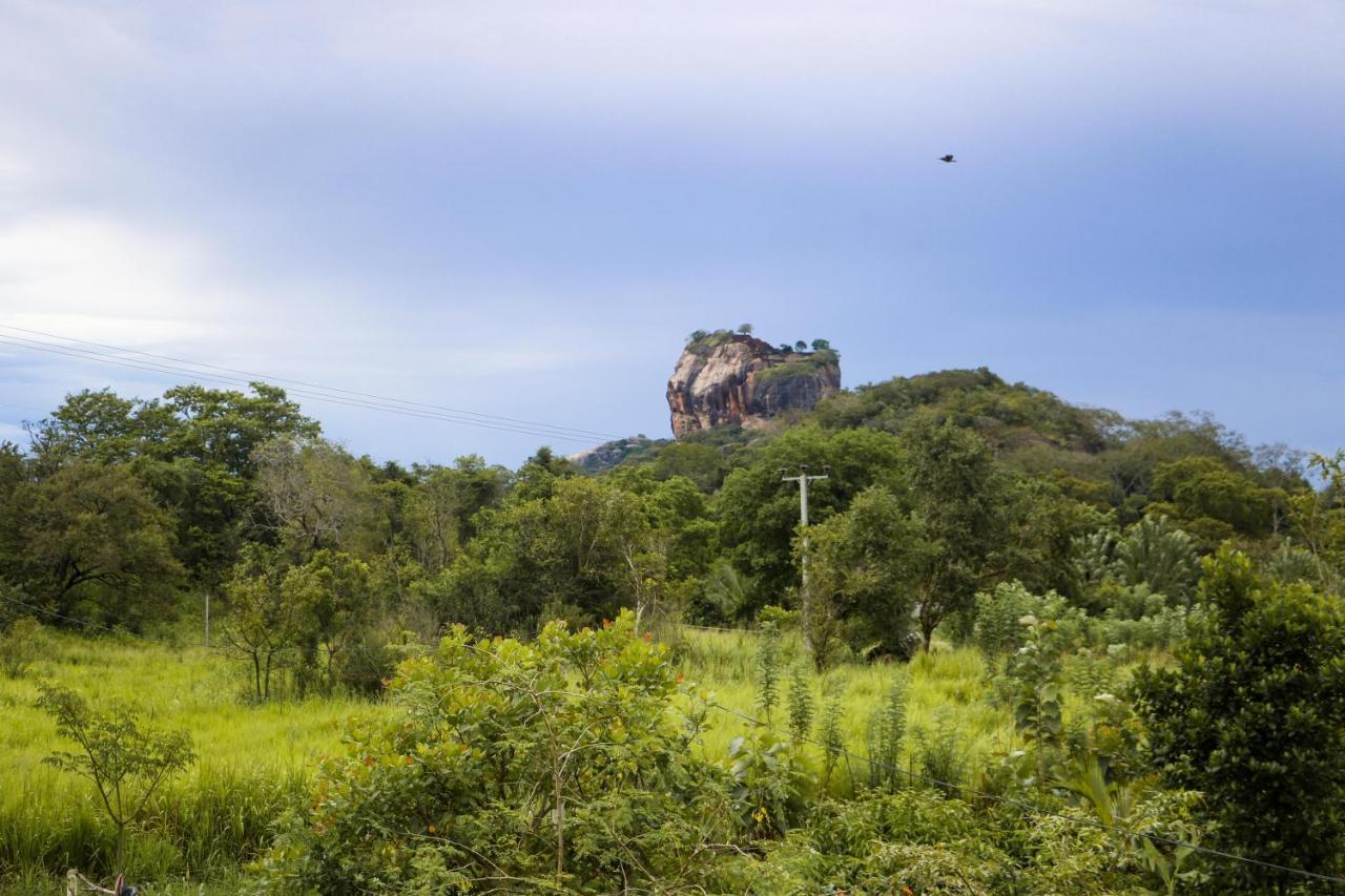 Sigiri Gayani Home Stay Sigiriya Buitenkant foto