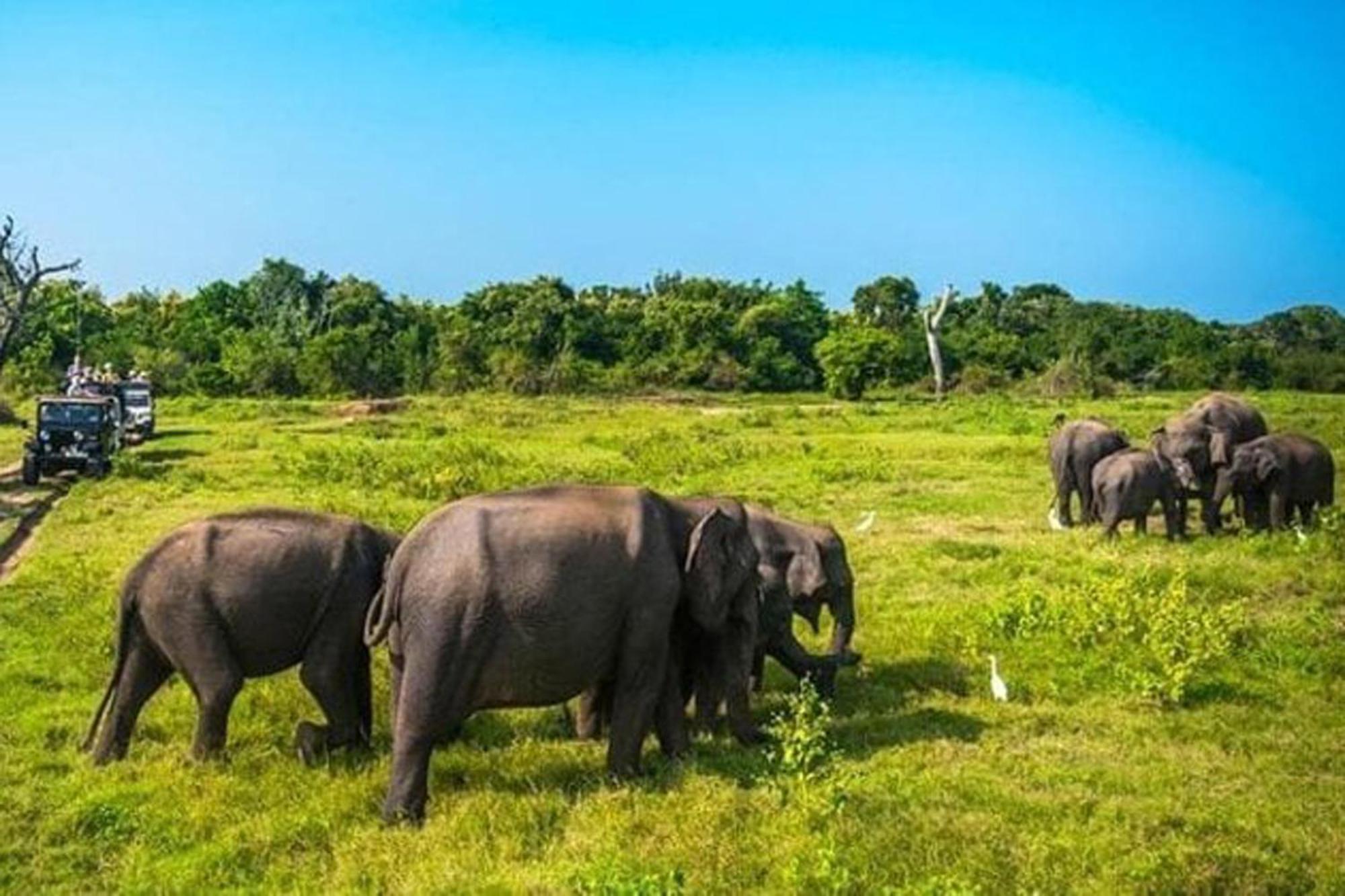 Sigiri Gayani Home Stay Sigiriya Buitenkant foto